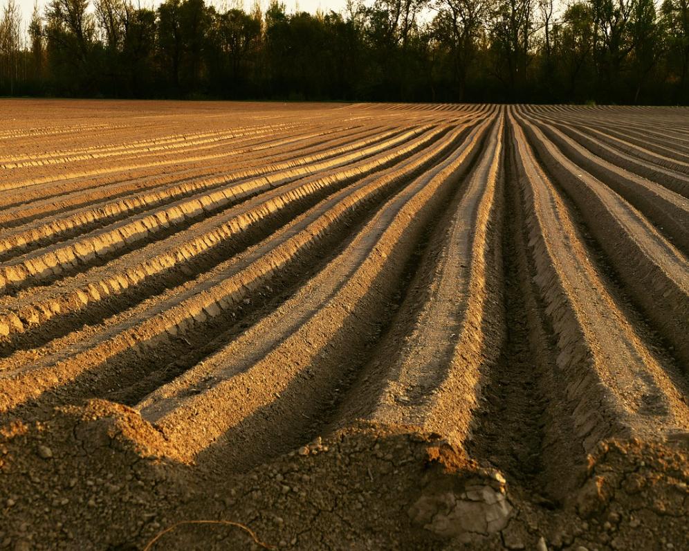 Veľké zmeny v nájmoch pôdy od 1. januára 2026